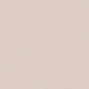 STRATIFIE FINSA GROUPE 1 GRIS COCO 15R SOFT III 3050X1300MM 8/10EME 40595714