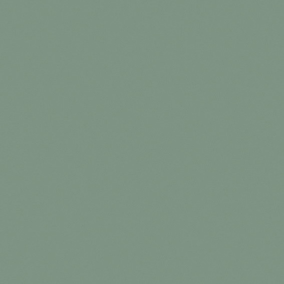 STRATIFIE FINSA GROUPE 4 VERDE ARCILLA 3AU SOFT III 3050X1300MM 8/10EME  40922229