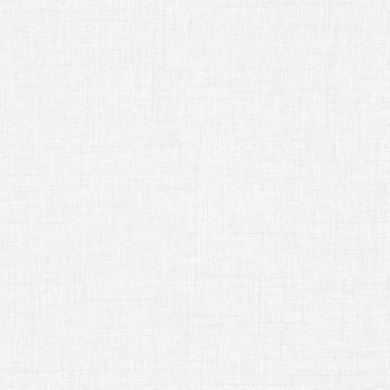 STRATIFIE ARMOR SELECTION 1050 DENIM AME BLANCHE 3050X1300MM 8/10