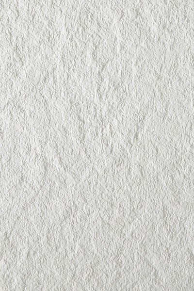STRATIFIE POLYREY MONOCHROM BLANC ABSOLU B170 ROC 3070X1320MM 12/10 FILME 541872