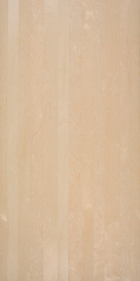 PLACAGE BRUT DECOFLEX NORDUS SNOW BIRCH BOULEAU SEMI-DEROULE PLAIN SUPPORT PAPIER INTISSE 3050X1240MM 6/10EME
