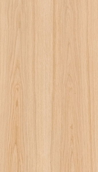 PLACAGE BRUT FLEX CHENE BLANC DE FIL CLASSIC SUPPORT PAPIER INTISSE 3050X1240MM 6/10EME