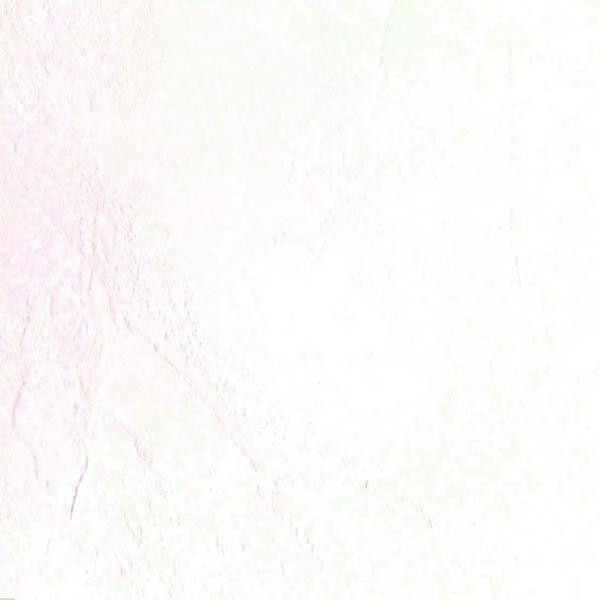 COMPACT INTERIEUR 1050 MOON AME BLANCHE 3050X1300MM 12MM USAGE VERTICAL EXCLUSIF