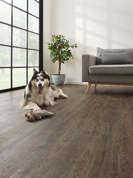 SOL CORETEC ESSENTIALS 1500 SERIES 50LVR 9601 JASPER OAK 1500X180X8,5MM COLIS DE 1,62M2