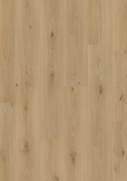 SOL STRATIFIE PERGO MANDAL PRO SANS CHANFREINS 1200X190X8MM L0247-05023 CHENE DE VIGNE - COLIS 1.596M2