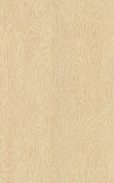 AGGLOMERE MELAMINE POLYREY TENDANCE BOIS BOULEAU DE SIBERIE B102 EXM 2800X2070MM 19MM 837158