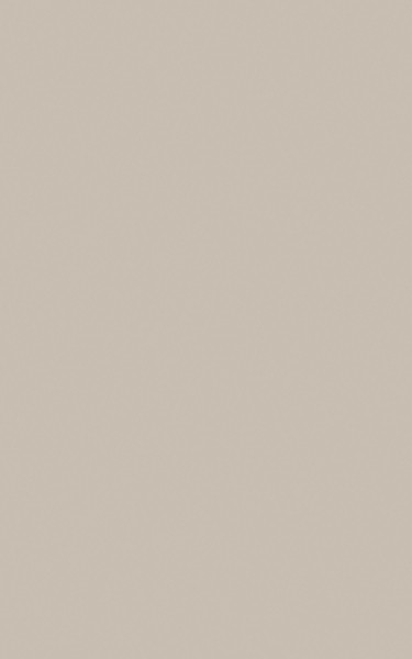 AGGLOMERE MELAMINE POLYREY TENDANCE UNIS BEIGE NATURE B116 SILK 2800X2070MM 19MM FILME 2 FACES 838294