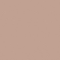 AGGLOMERE MELAMINE POLYREY TENDANCE UNIS BEIGE NUDE B205 SILK 2800X2070MM 19MM FILME 2 FACES 838291