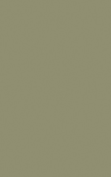 AGGLOMERE MELAMINE POLYREY TENDANCE UNIS KAKI K003 FA 2800X2070MM 19MM 838255