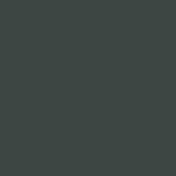 AGGLOMERE MELAMINE POLYREY TENDANCE UNIS VERT DES VOSGES V112 FA 2800X2070MM 19MM FILME 2 FACES 838285
