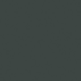 AGGLOMERE MELAMINE POLYREY TENDANCE UNIS VERT DES VOSGES V112 FA 2800X2070MM 19MM FILME 2 FACES 838285