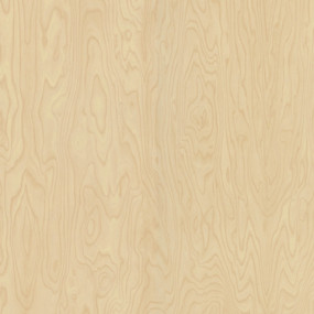 STRATIFIE POLYREY TENDANCE BOIS BOULEAU DE SIBERIE B102 EXM 3070X1320MM 8/10 537359