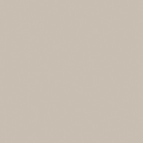 STRATIFIE POLYREY TENDANCE UNIS BEIGE NATURE B116 SILK 3070X1320MM 8/10 FILME 554017