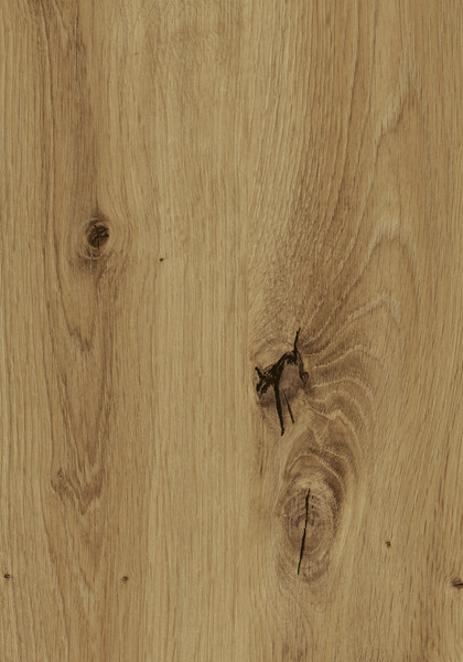 AGGLOMERE PFLEIDERER ORGANICBOARD PURE MELAMINE CHENE ARTISAN R20315 NW 2800X2100MM 19MM