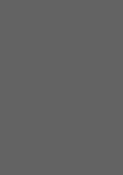 AGGLOMERE PFLEIDERER ORGANICBOARD PURE MELAMINE GRIS ANTHRACITE U12290 SD 2800X2100MM 19MM FILME 1 FACE