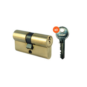 CYLINDRE NEPTUNE LAITON POLI 60/30X30 VIS 60MM + 45MM 3 CLES