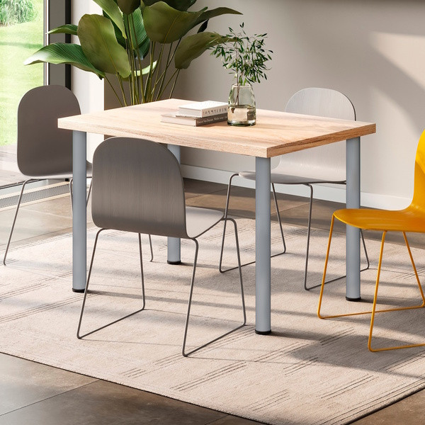 EMUCA PIED DE TABLE REGLABLE ACIER FINITION ALUMINIUM DIAMETRE 60MM HAUTEUR 738MM AVEC EMBASE ET VIS