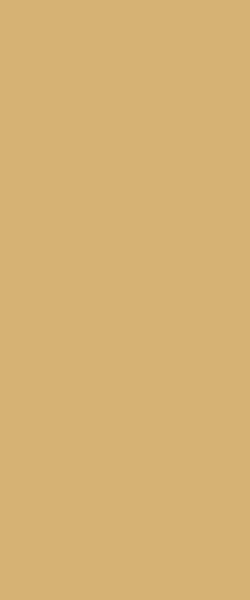 STRATIFIE FORMICA COLORS CAFE F0903 MATTE 58 3050X1300MM 7/10