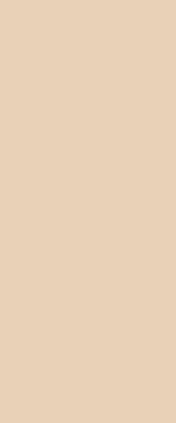 STRATIFIE FORMICA COLORS CYGNET F3050 MATTE 58 3050X1300MM 7/10