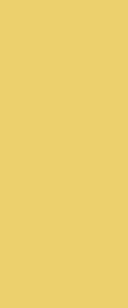 STRATIFIE FORMICA COLORS BASIC DESIGN 7/10 JUST GOLD F8857 MATTE 58