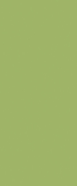 STRATIFIE FORMICA COLORS LEAF GREEN F8820 MATTE 58 3050X1300MM 7/10