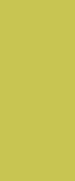 STRATIFIE FORMICA COLORS WASABI F5341 MATTE 58 3050X1300MM 7/10