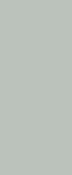STRATIFIE FORMICA WOODS FINN BEECH F0190 MATTE 58 3050X1300 7/10