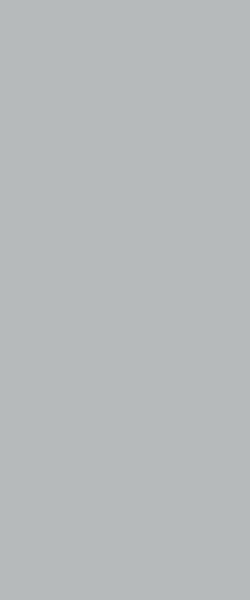 STRATIFIE FORMICA WOODS FINN BEECH F0190 MATTE 58 3050X1300 7/10