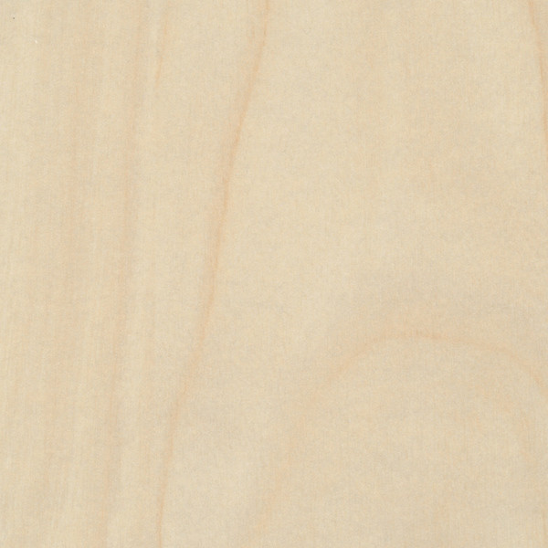 AGGLOMERE MELAMINE PFLEIDERER REPRO PREMIUM PIN MARITIME R55064 FL 2800X2100X19MM