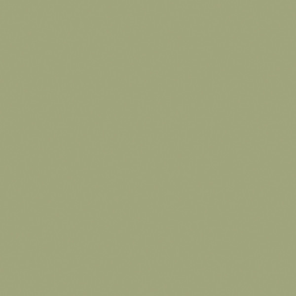 AGGLOMERE MELAMINE PFLEIDERER UNI PREMIUM AVOCAT U19503 SD 2800X2100X19MM